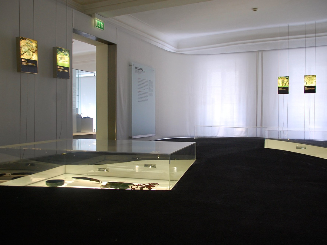 Museum of the Celts Hallein景点图片