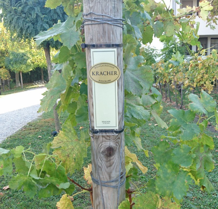 Weingut Kracher-Illmitz必去景点