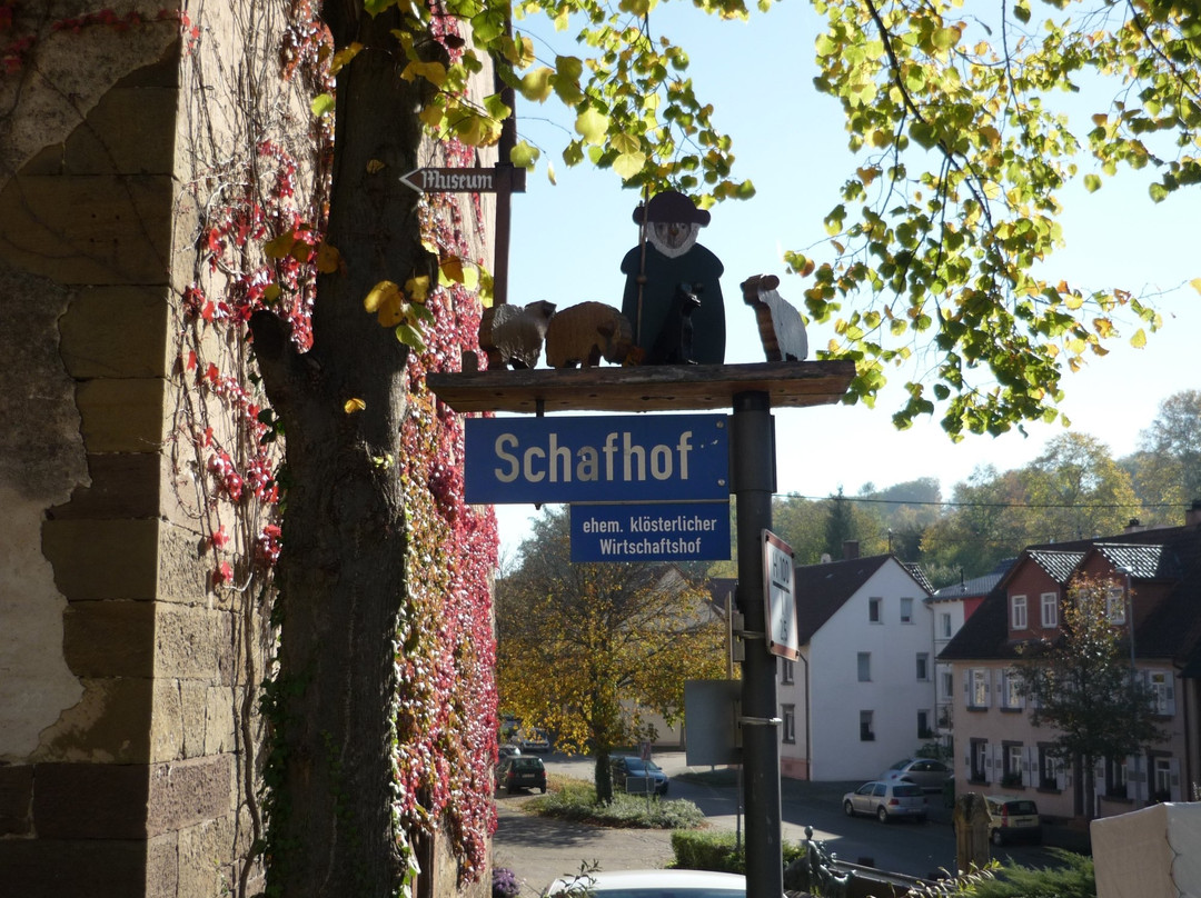 Museum auf dem Schafhof景点图片