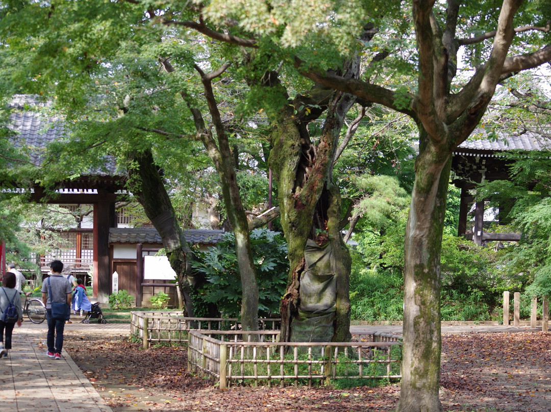 Konjo-in Temple-野田市必去景点