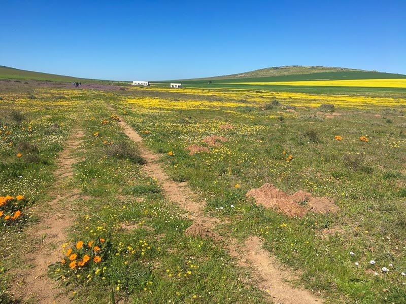 Darling旅游攻略图片