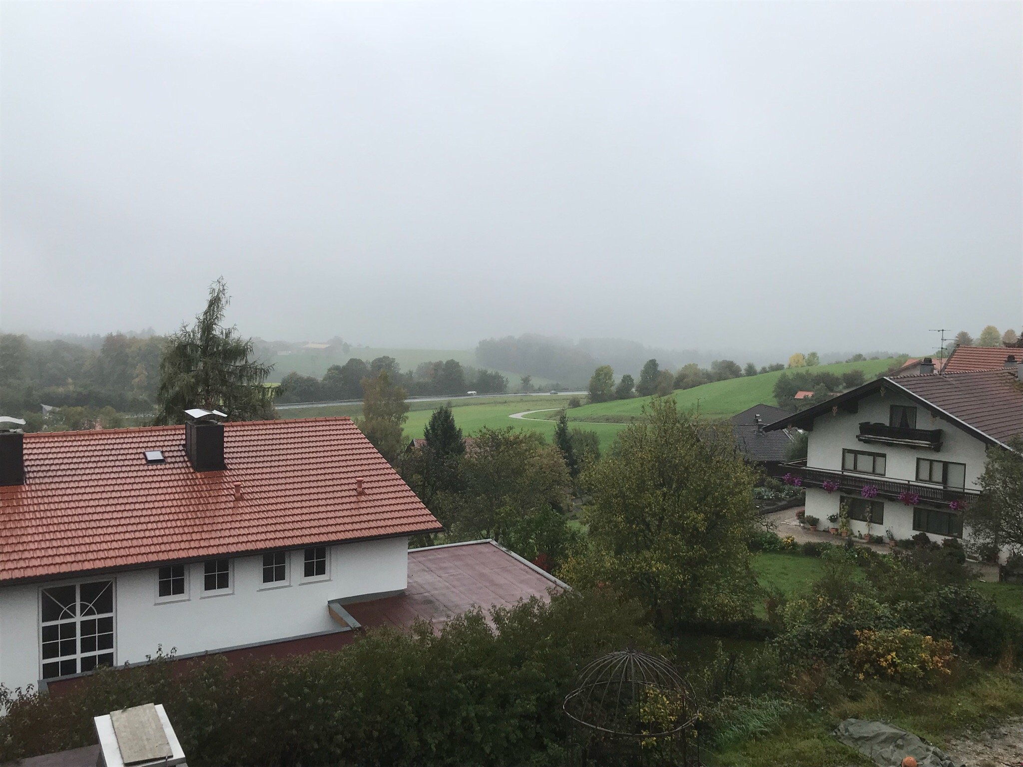 Alpenblick-官方