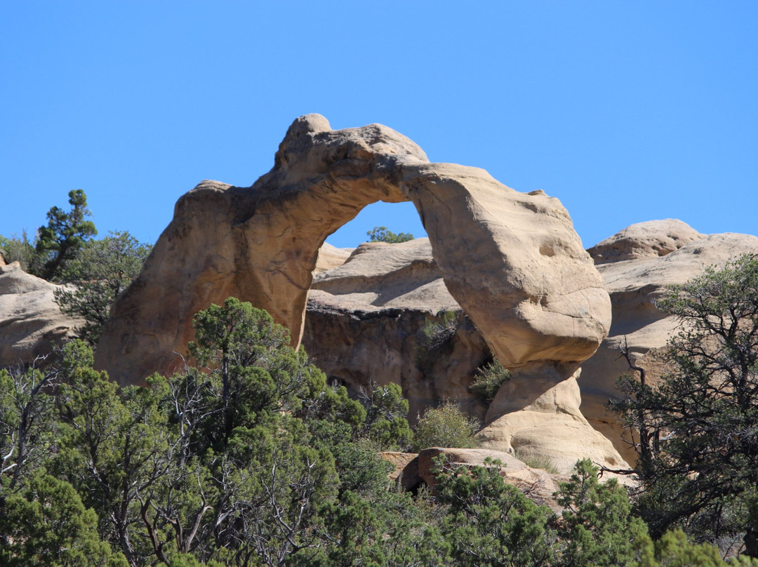 Aztec Sandstone Arches-Aztec必去景点