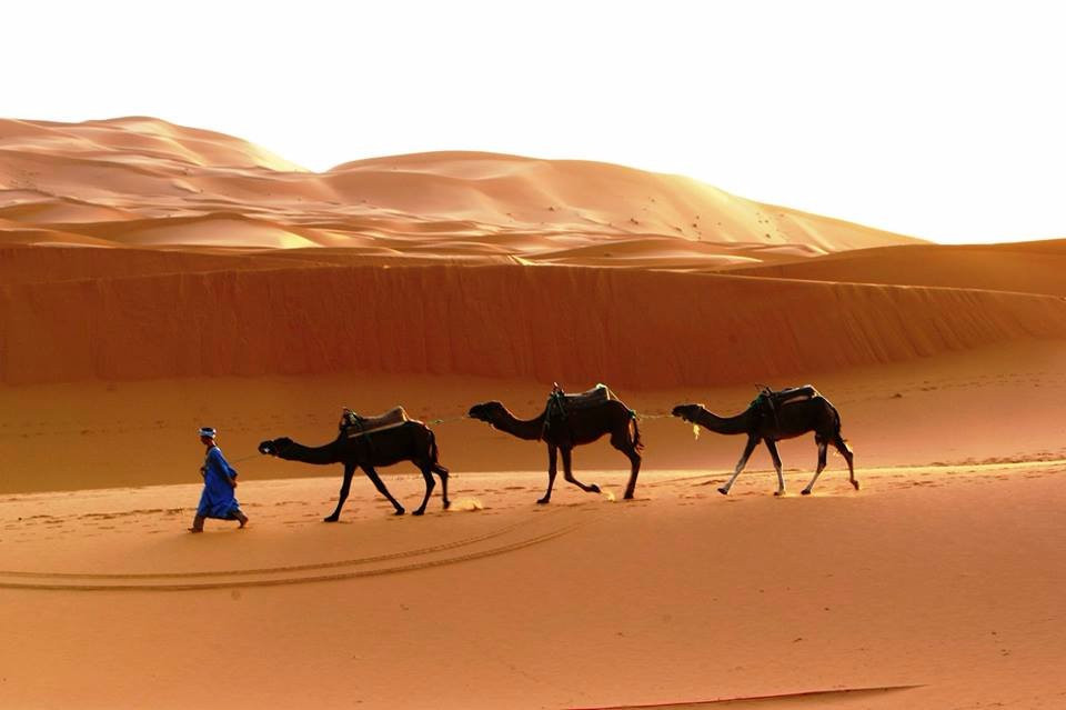 Camel Trek Bivouac-梅如卡必去景点