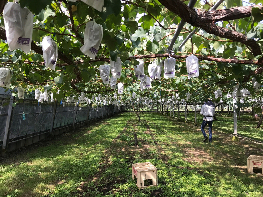 Couples-阿苏市必去景点