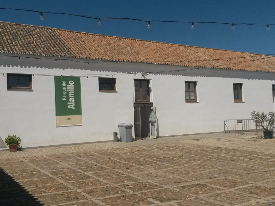 Parque del Alamillo景点图片