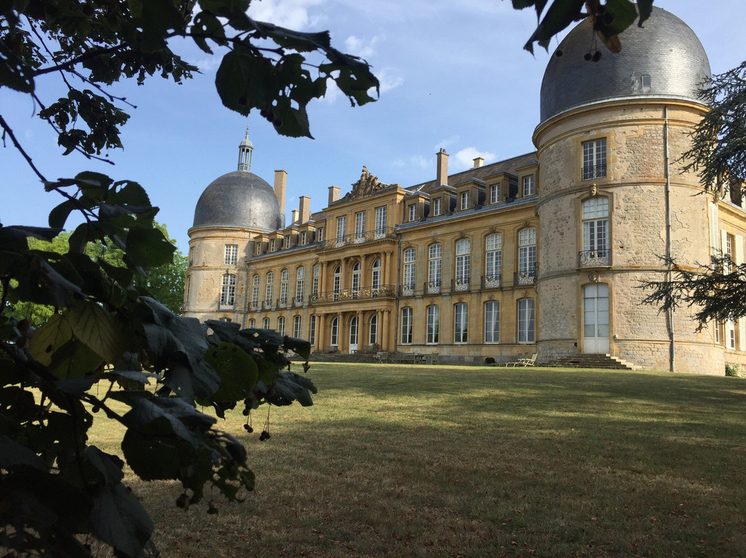 Chateau de Digoine景点图片
