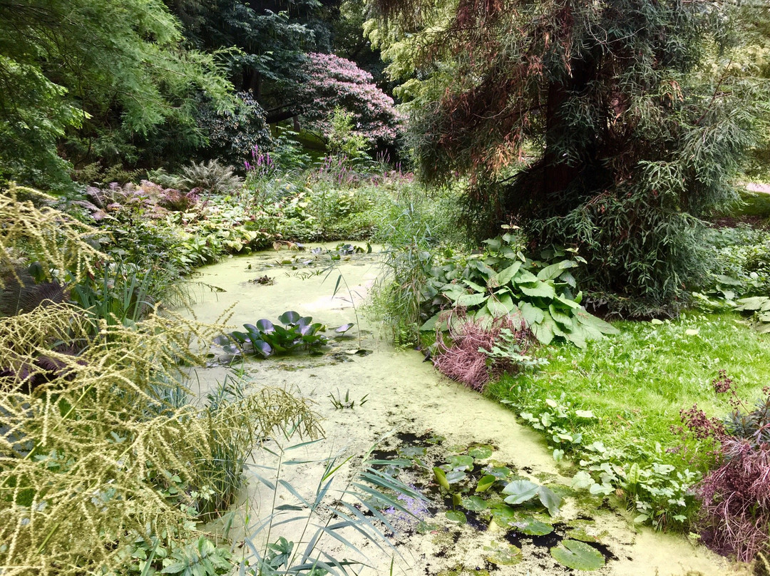 Alter Botanischer Garten-基尔必去景点