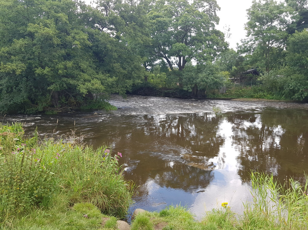 Myrtle Park-Bingley必去景点