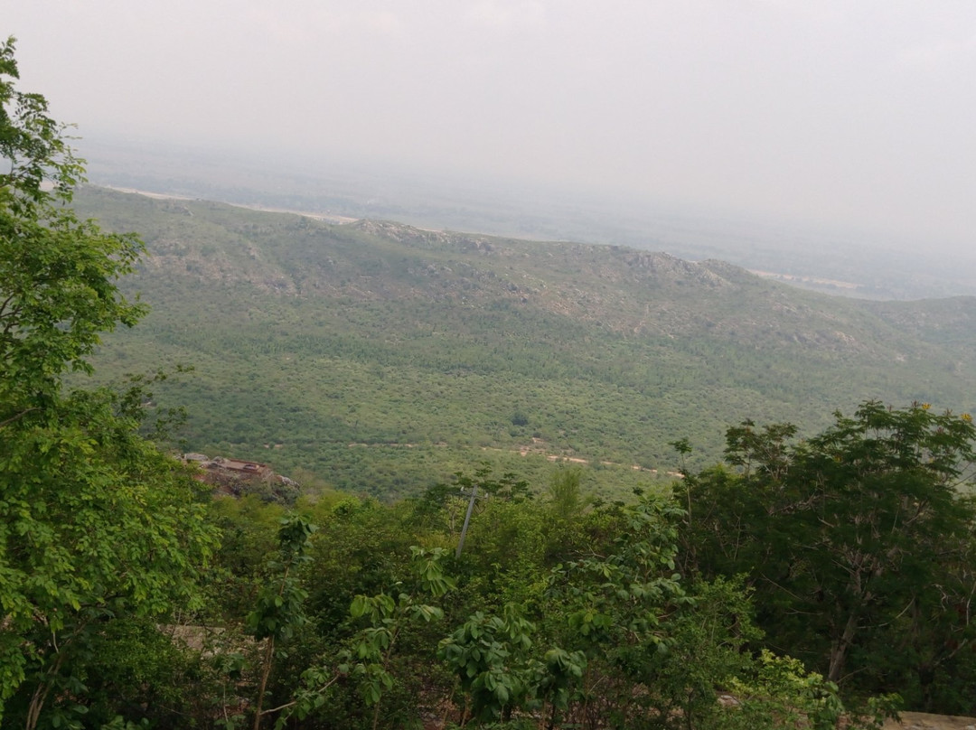 Ashoka Stupa Peak景点图片