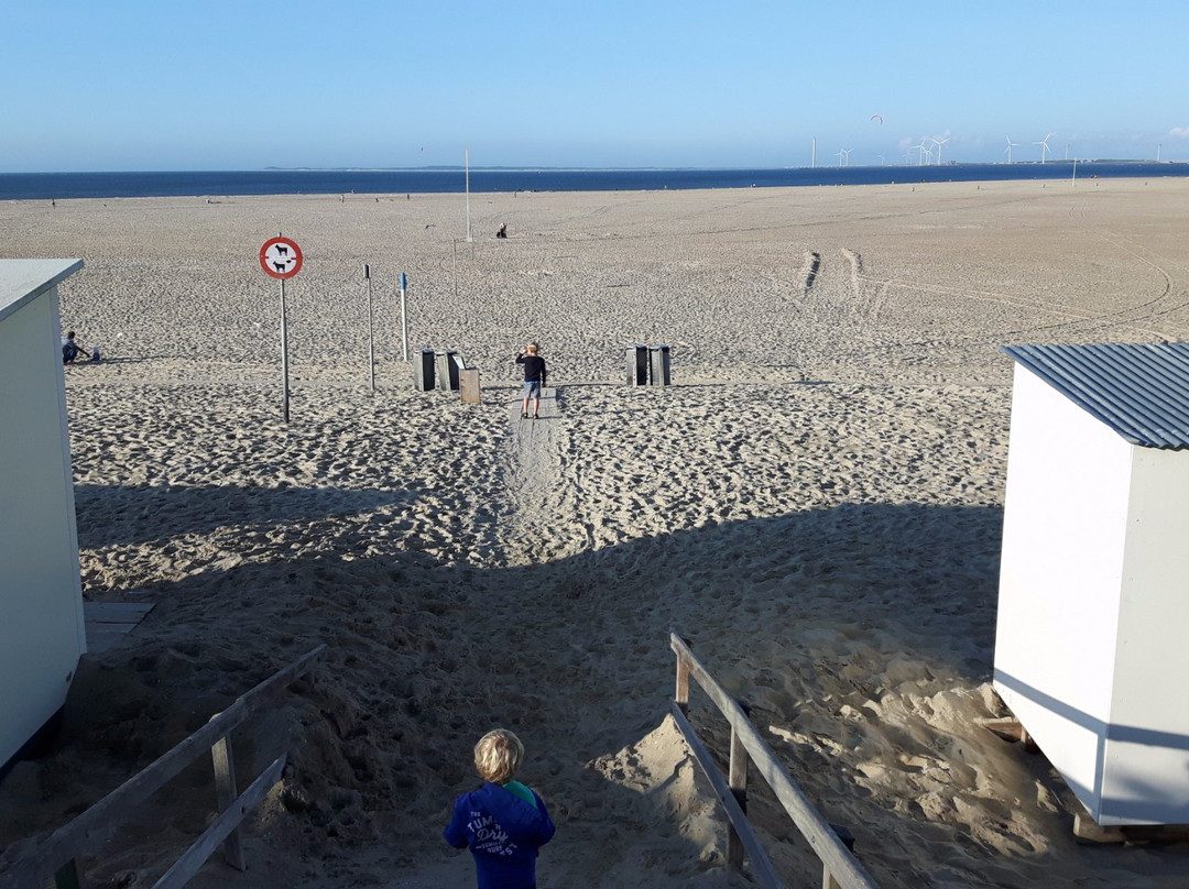 Vrouwenpolder Beach景点图片