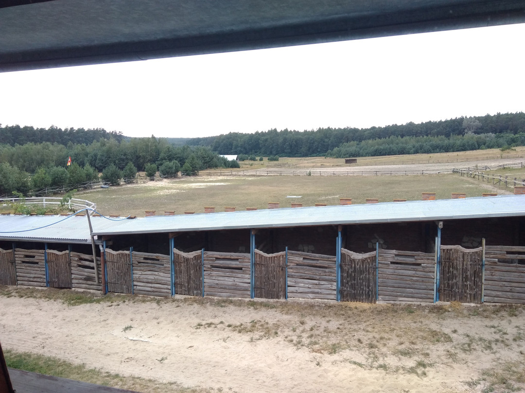 Stadnina Koni Tarka