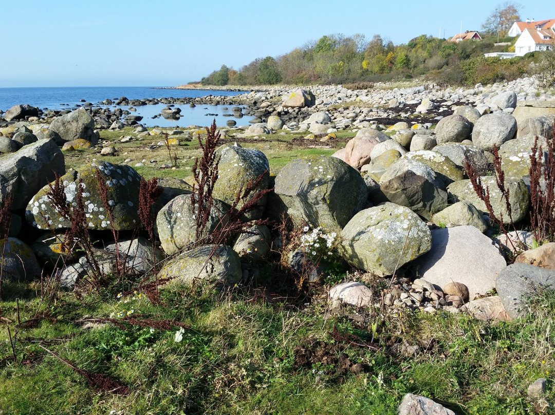 Magnarps Strandmark Naturreservat景点图片