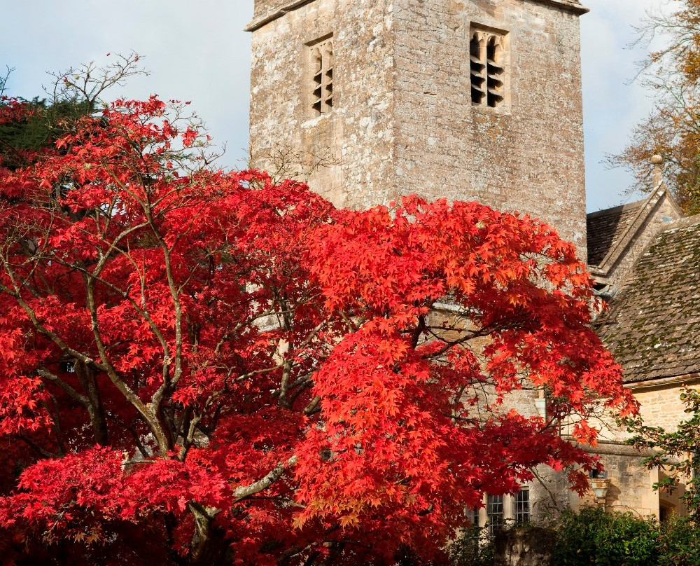 Westonbirt House and Gardens-泰特伯里必去景点