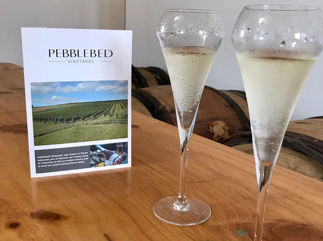 Pebblebed Vineyard-Clyst Saint George必去景点