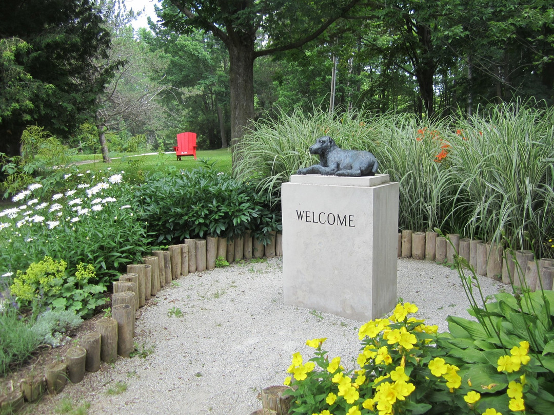 Beautiful Joe’s Leash-free Dog Park景点图片