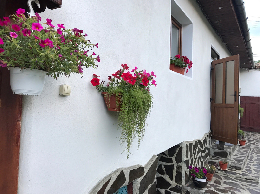Andrada's House Soars