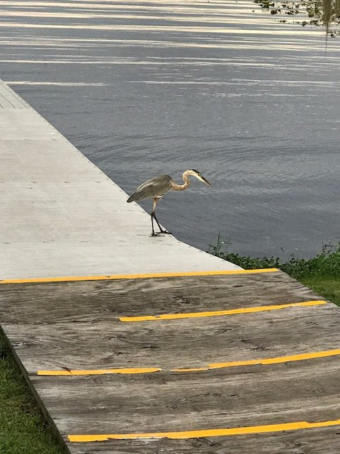 Liberty Park-因弗内斯必去景点