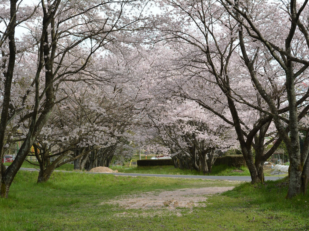 Hoki Kokufu-ato Hokkeji-bata Ancient Ruin景点图片