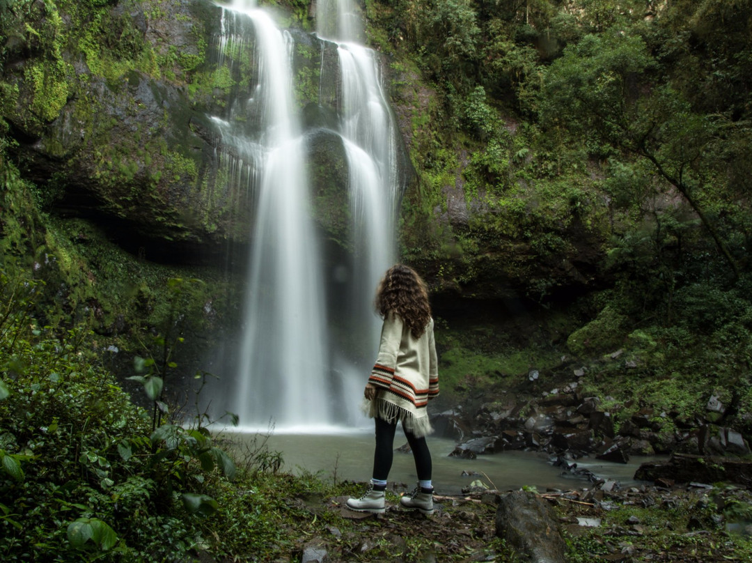 Cascata da Baleia景点图片
