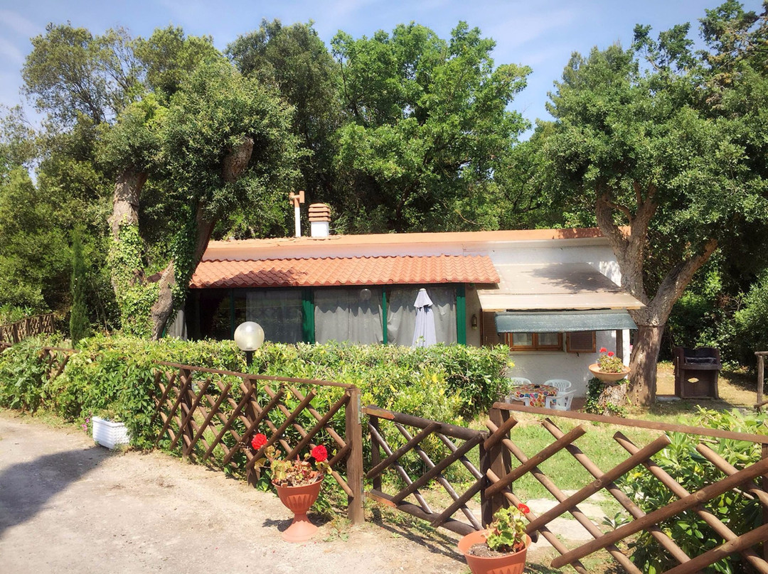 Residence Oasis