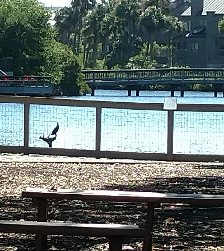 Night Heron Park景点图片