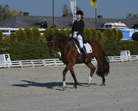 Stable Gostar-Jelenia Gora必去景点