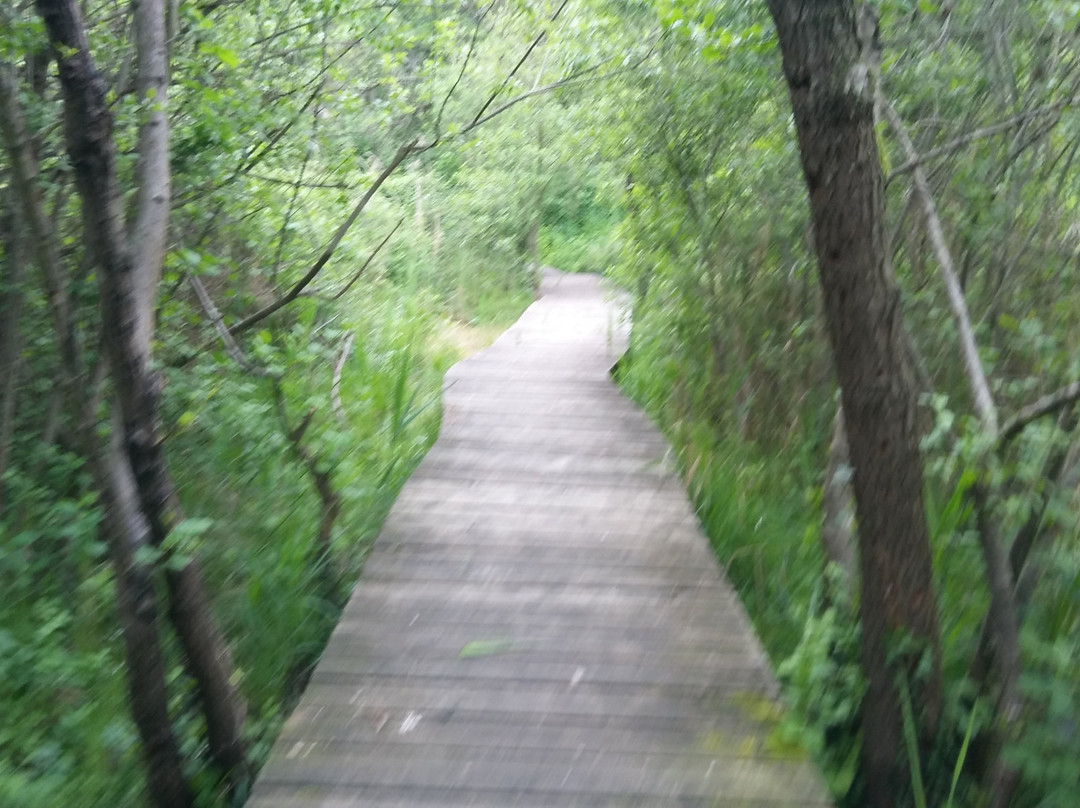 Parco Palude di Onara景点图片