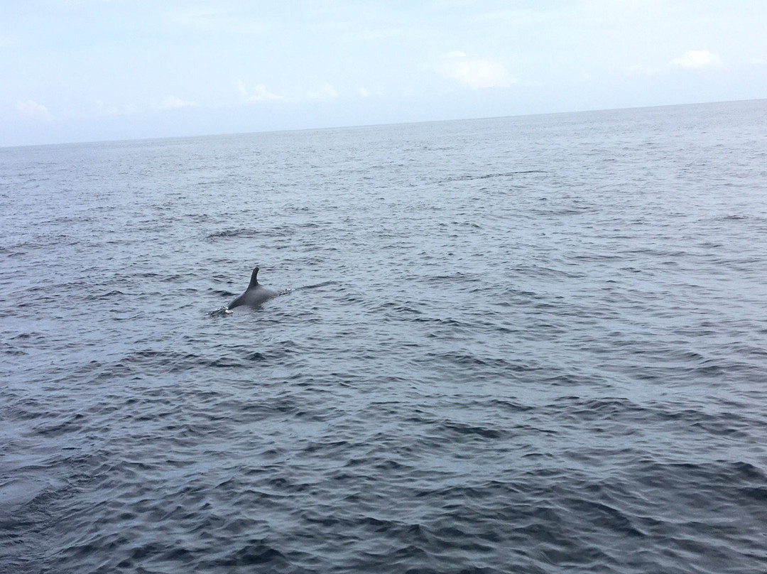 Contadora Island Tours-Contadora Island必去景点