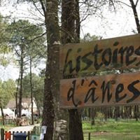 Histoires d'Anes景点图片