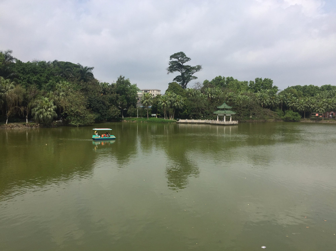 逸仙湖公园-中山市必去景点