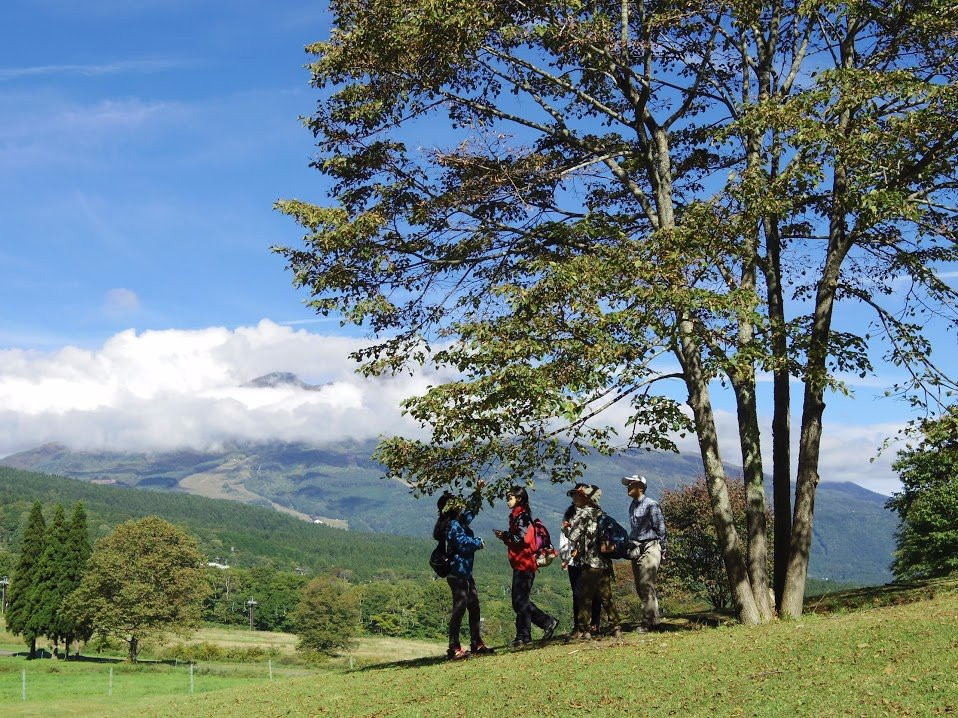 Kurohime Highland-信浓町 必去景点