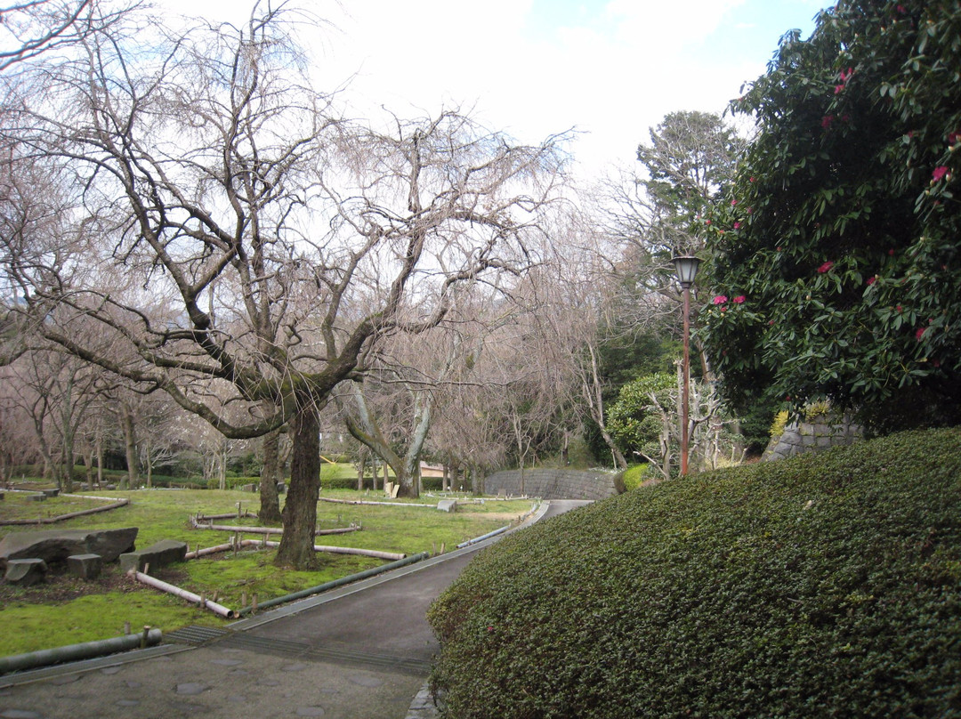 Araijoshi Park-真鹤町必去景点