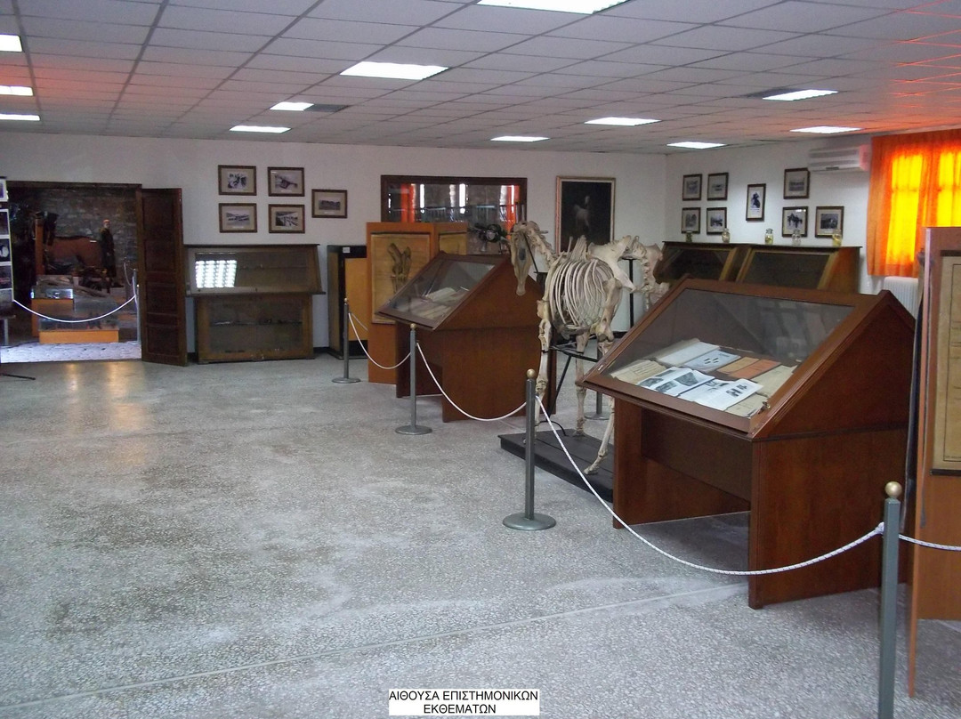 Museum of Military Veterinary Service-Larissa必去景点