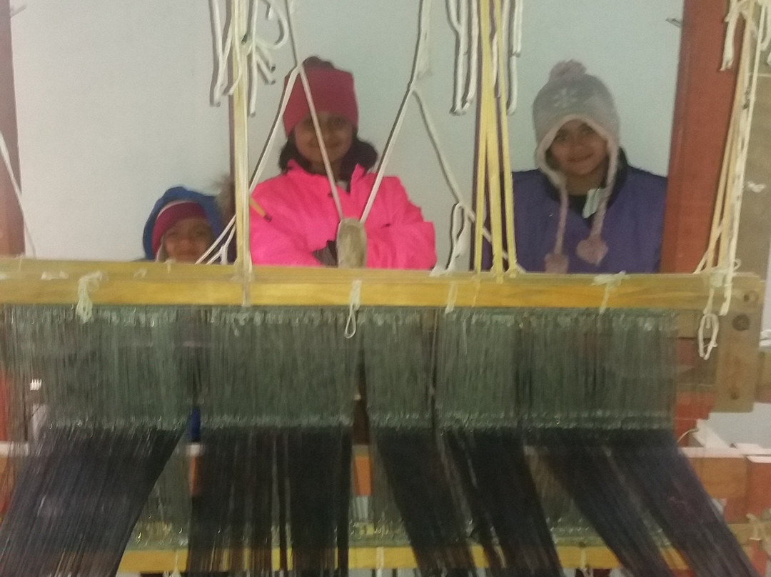 Kausani Shawl Factory景点图片