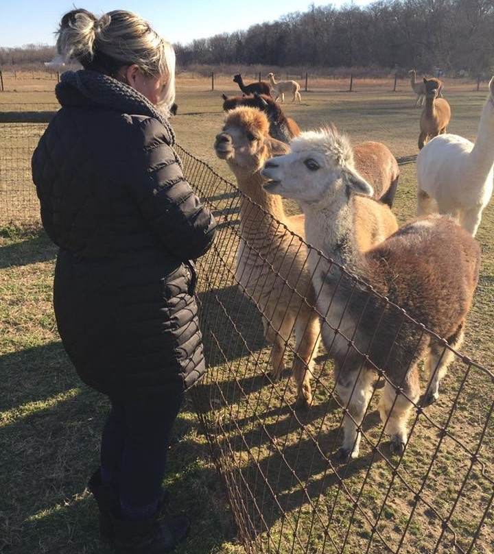 Bay Springs Farm Alpacas景点图片