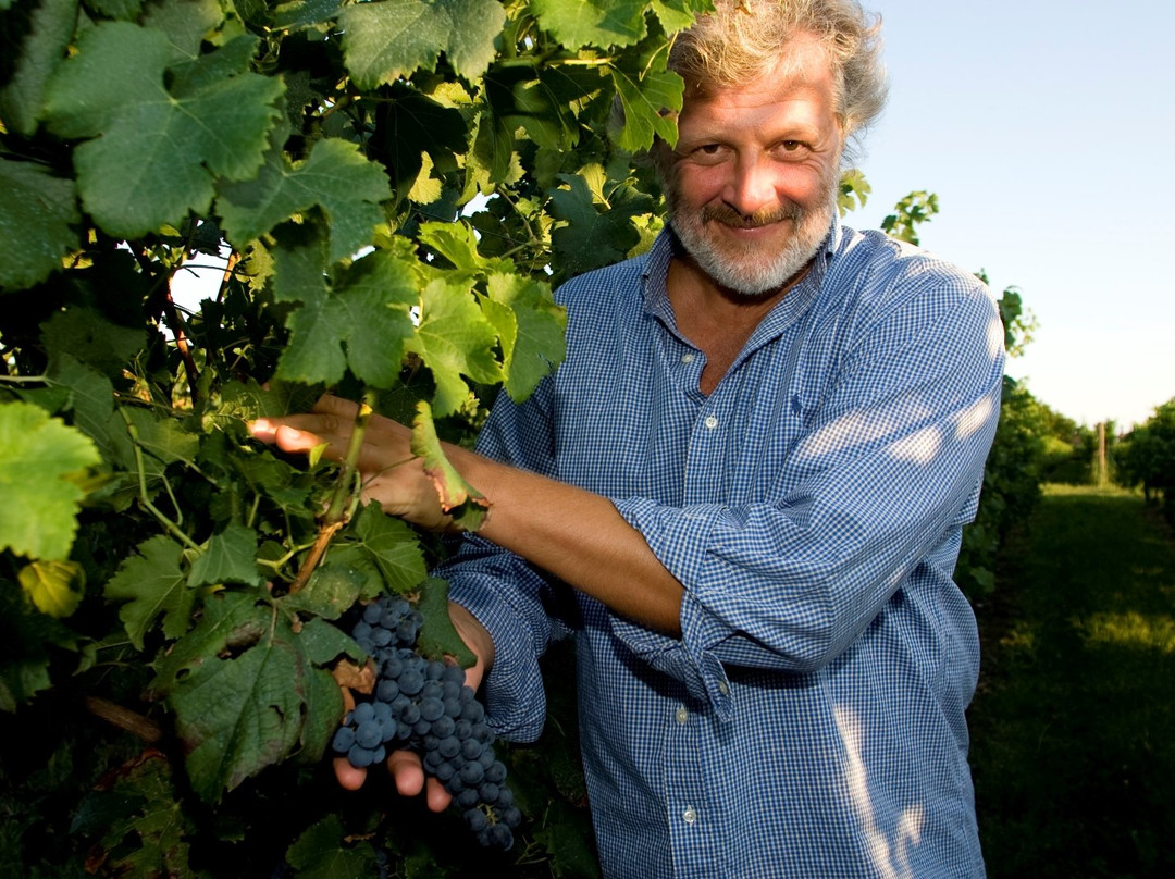 Azienda Agricola Vicentini Orgnani-Valeriano必去景点