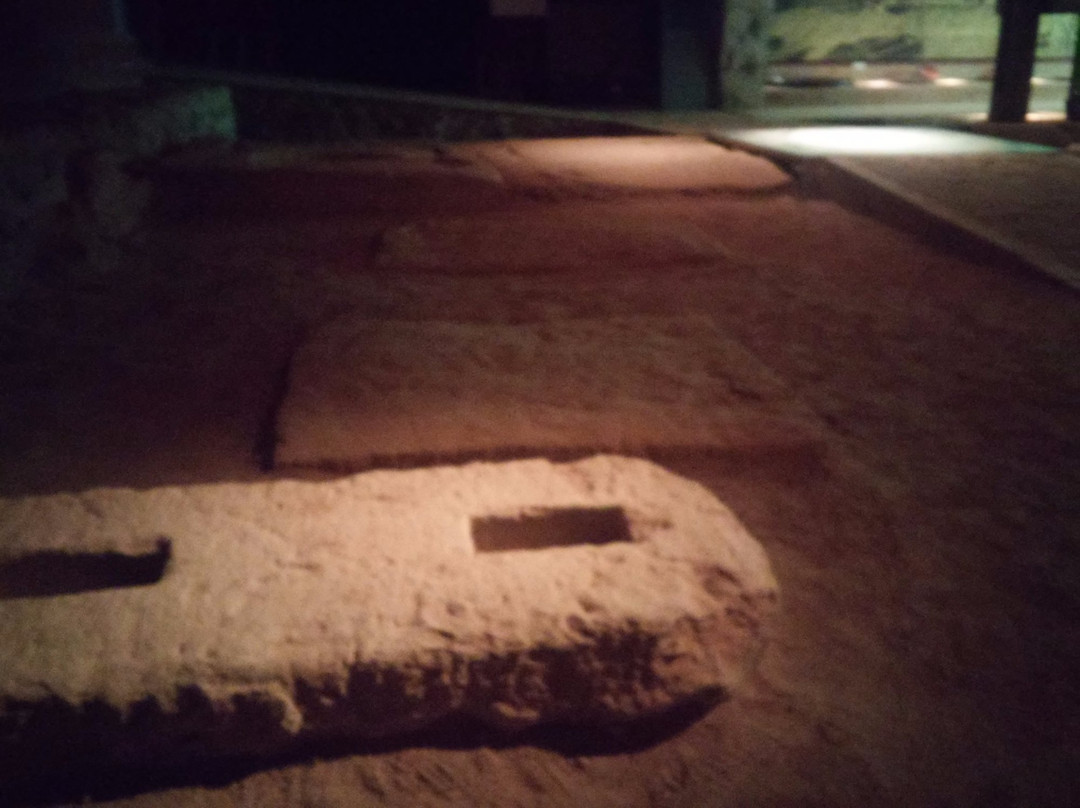 Museo Preindustrial de la Cana de Azucar-莫特里尔必去景点