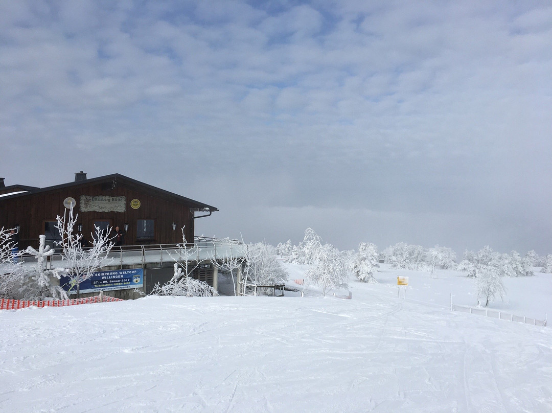 Skigebiet Willingen-Willingen必去景点