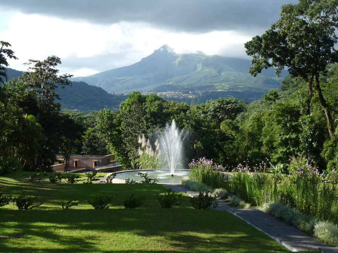 Norden Vincent's Martinique TOUR景点图片