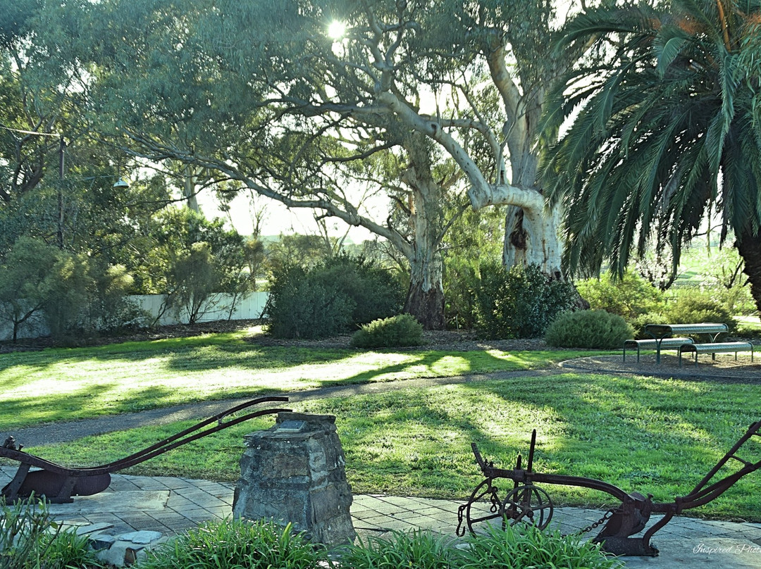 Lyndoch Heritage Walk景点图片