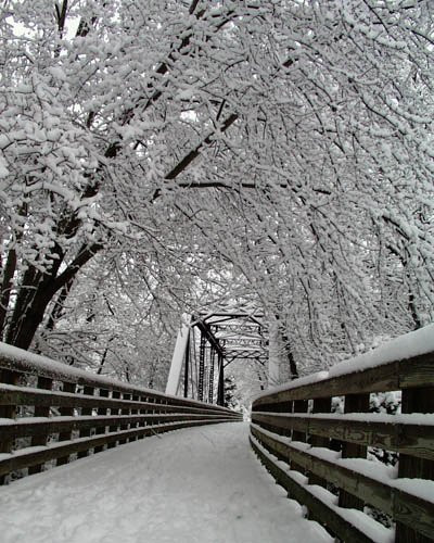 Adventure Damascus & Sundog Outfitter-Damascus必去景点