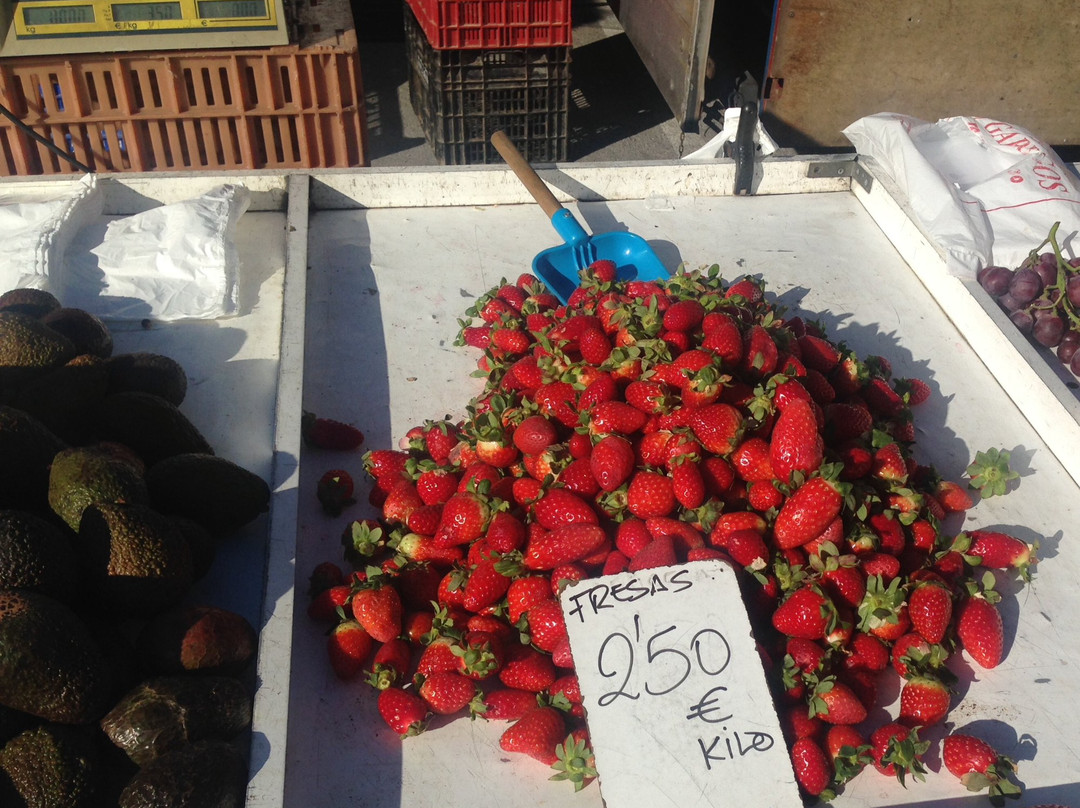 Mercadillo de Teulada景点图片