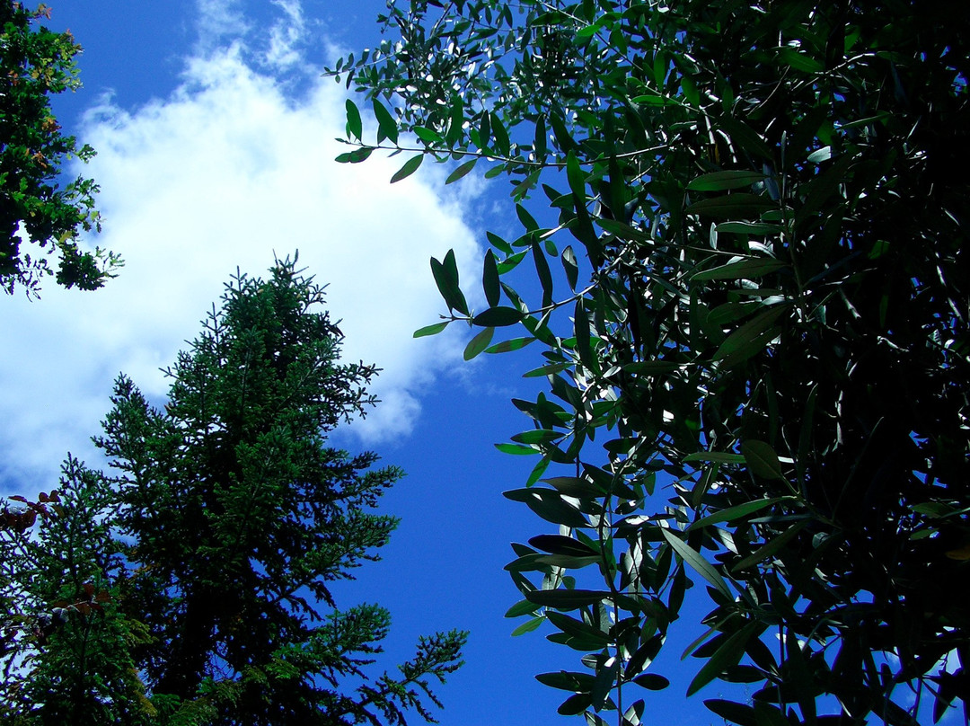 Agriturismo Il Palagio di Panzano