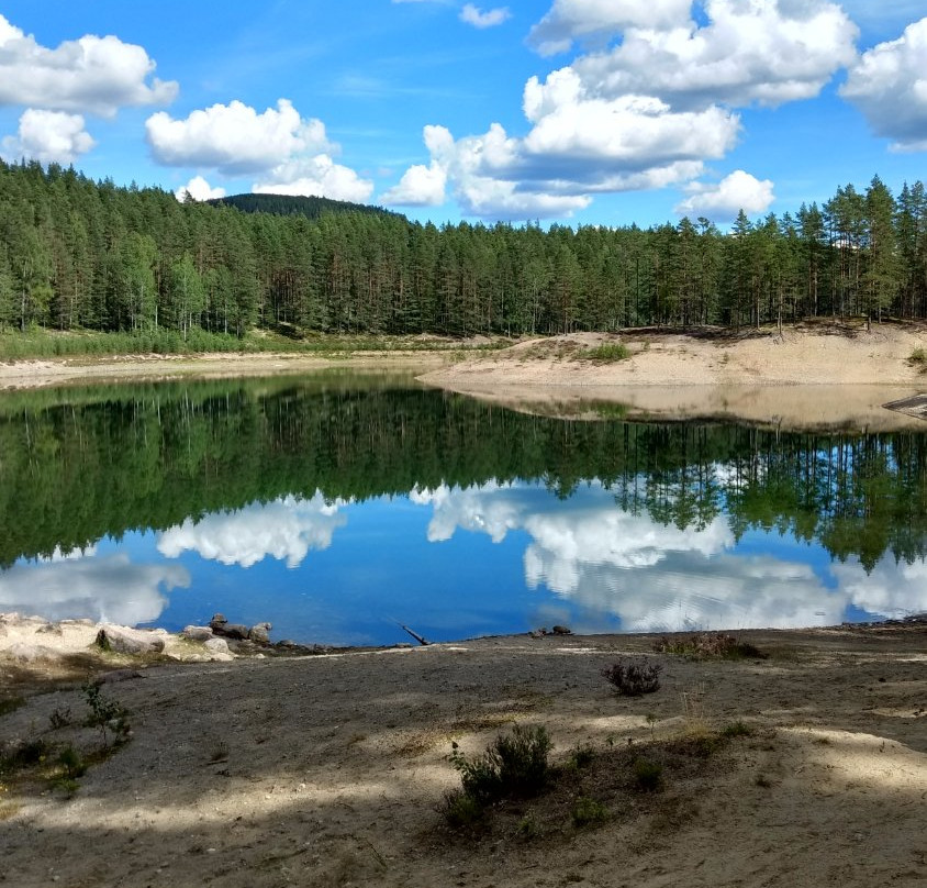 Grontjarn naturreserve-Ljusdal必去景点
