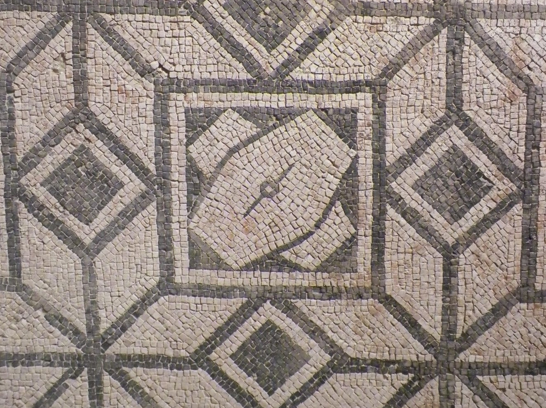 MAF - Museo Archeologico Civico Tobia Aldini-Forlimpopoli必去景点