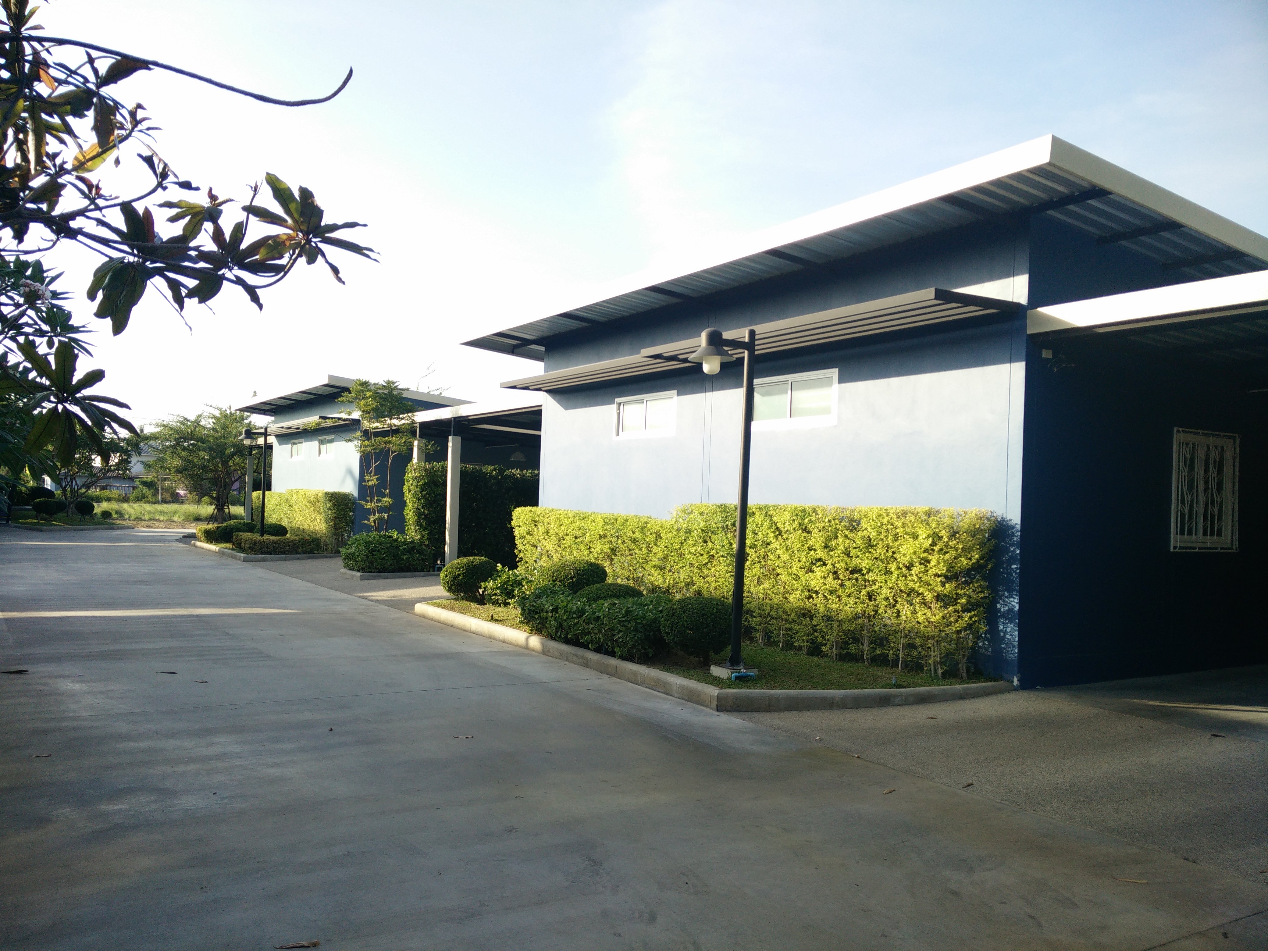 P House-官方