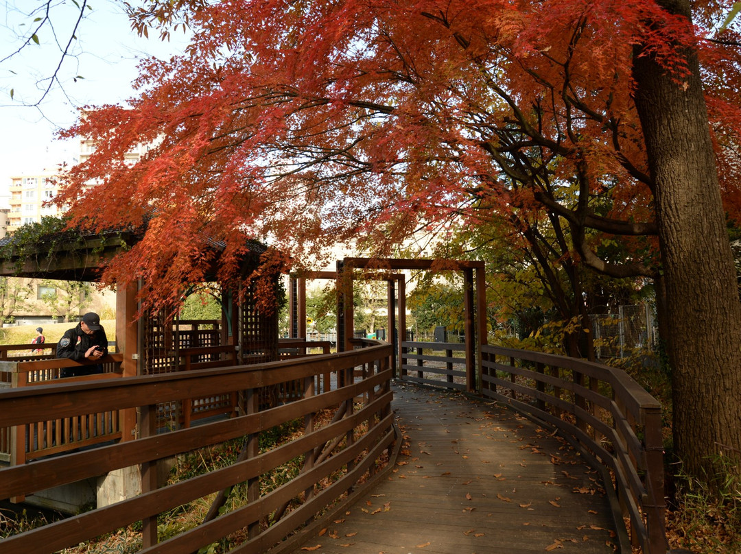 Suginami Chuo Library