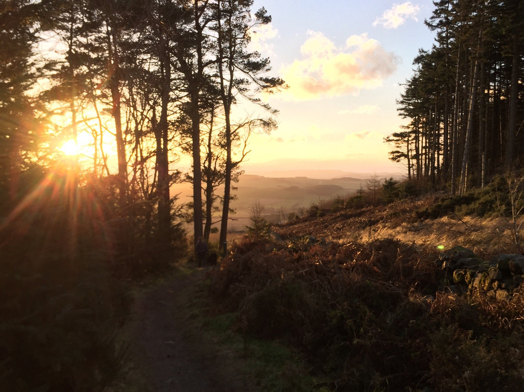 Kirkhill Forest and Tyrebagger Wood-阿伯丁必去景点