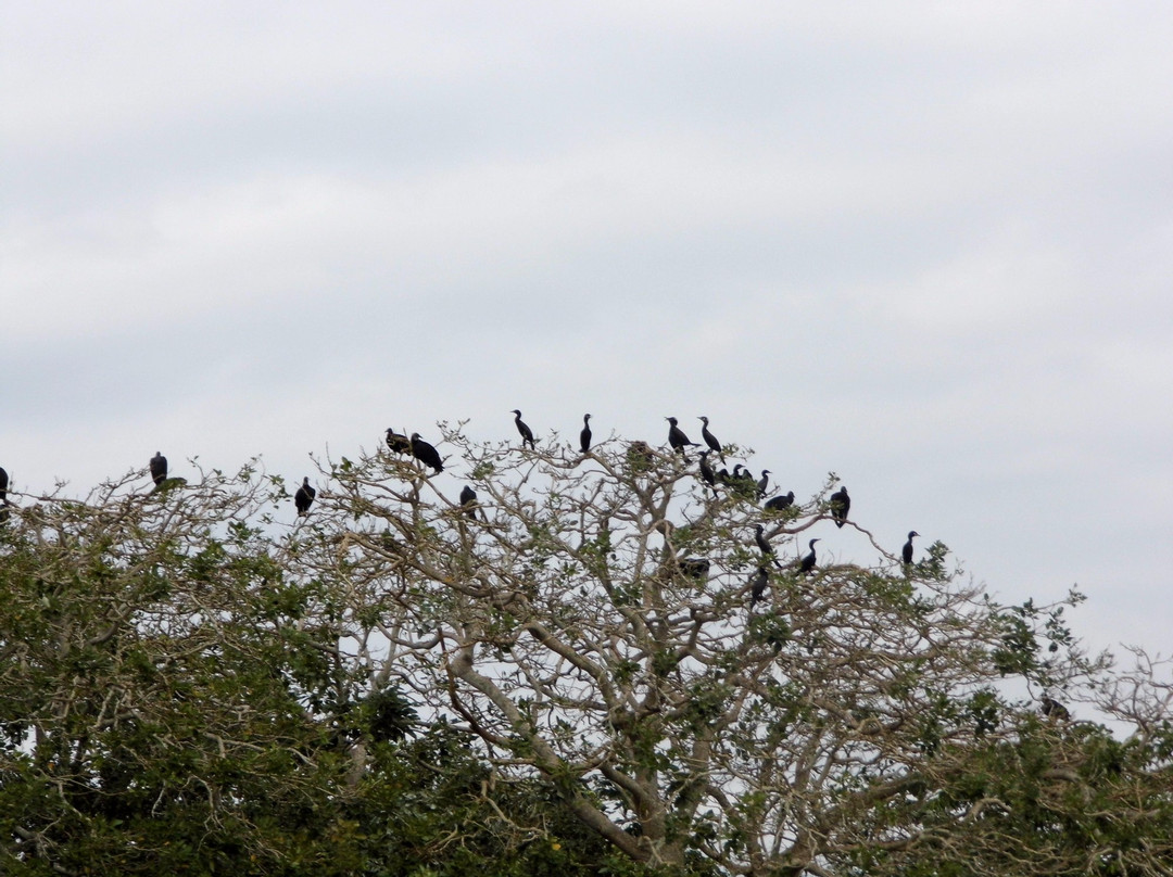 Centro de interpretacion Uyotot-ja, La Casa del Agua-Frontera必去景点